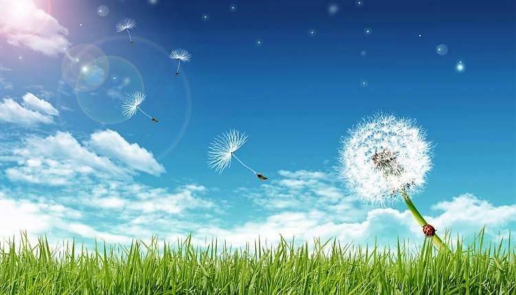 silence poem dr shehzad saleem