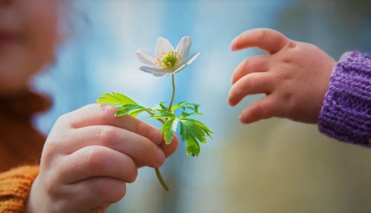 poem generosity dr shehzad saleem