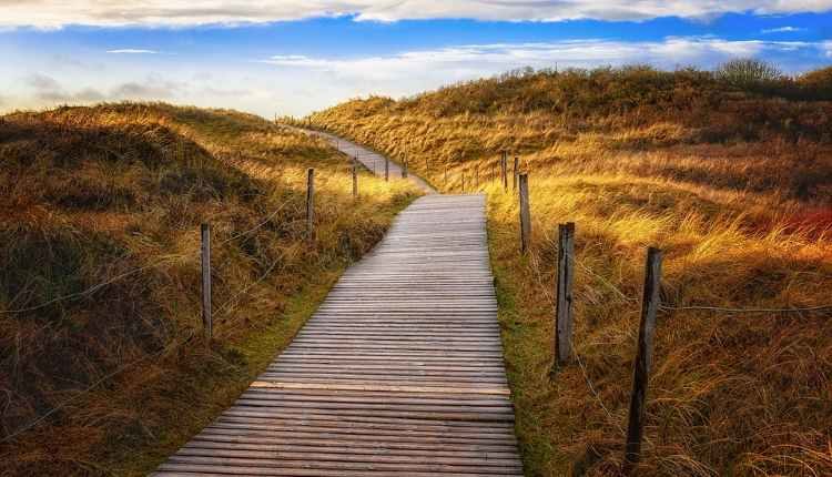 life goes on poenm Dr shehzad Saleem