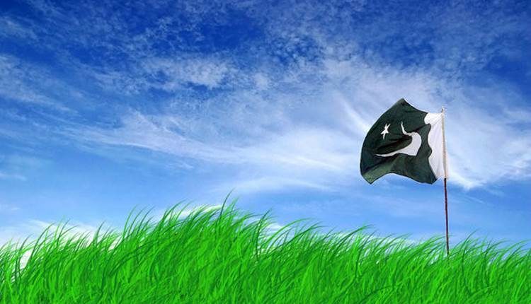 remedy of economic ills dr shehzad saleem