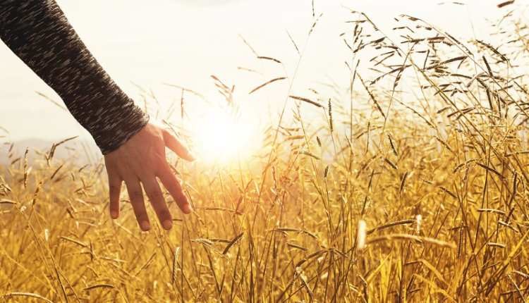 simplicity poem dr shehzad saleem