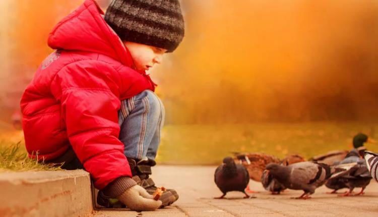 kindness poem Dr Shehzad Saleem