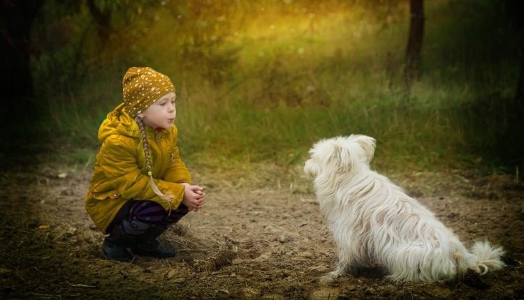 animal rights Dr Shehzad Saleem